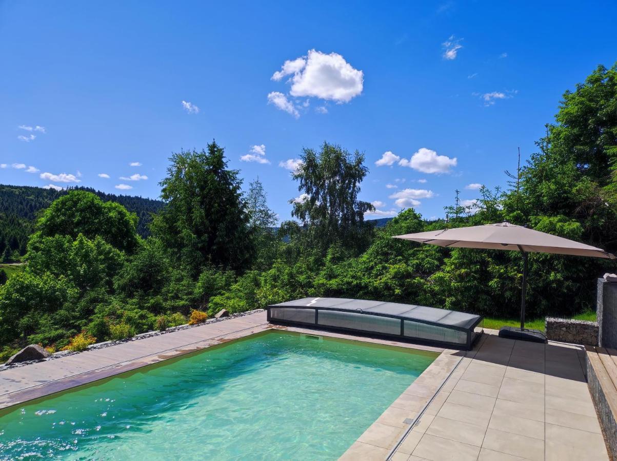 Le Cerf, Chalet Cocooning Avec Piscine Et Billard Ban-sur-Meurthe-Clefcy Exteriör bild