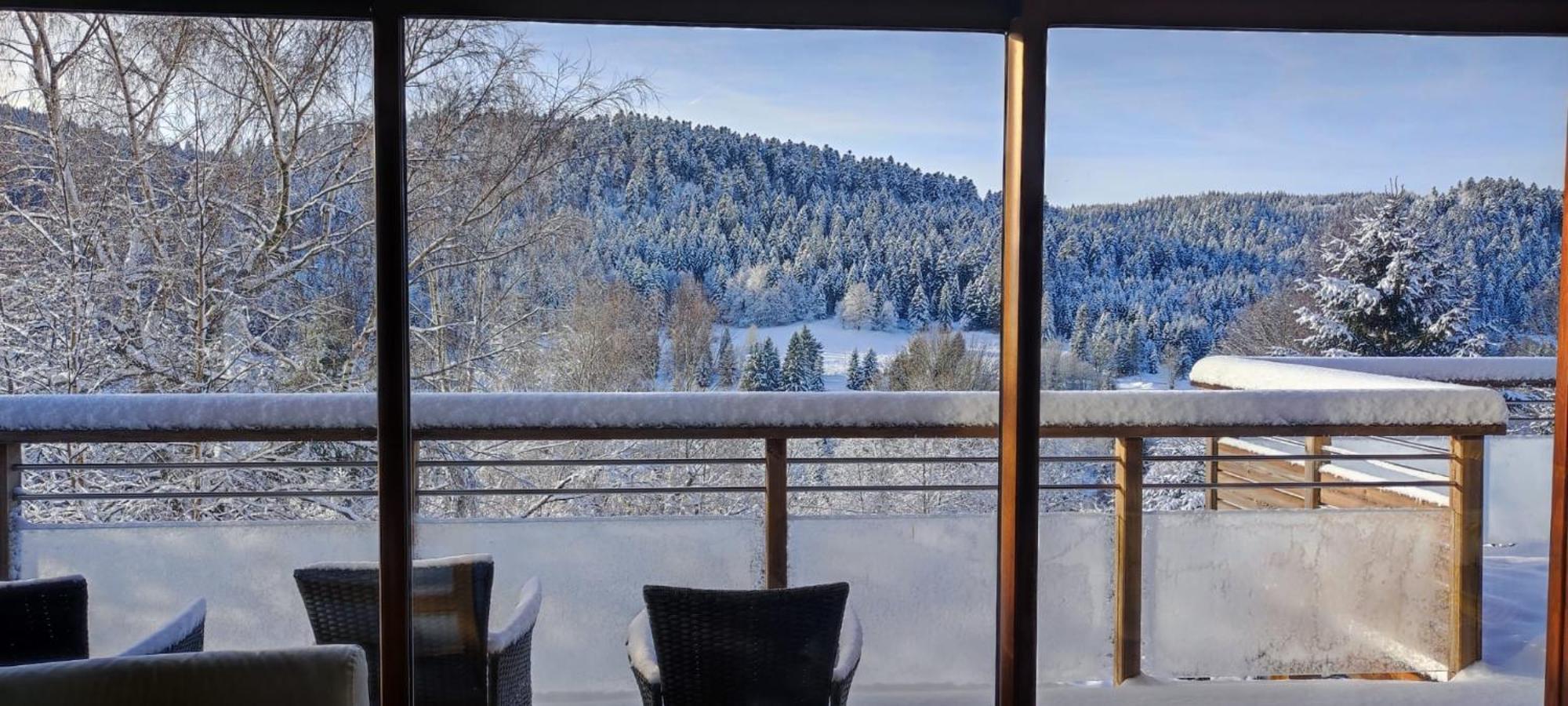 Le Cerf, Chalet Cocooning Avec Piscine Et Billard Ban-sur-Meurthe-Clefcy Exteriör bild